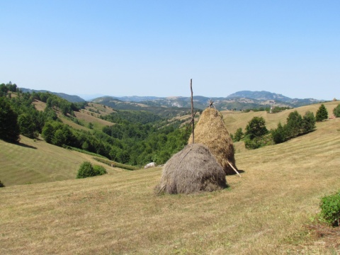 Serbia_12_toGuca