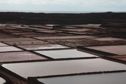 4_Salinas_de_Janubio_19