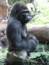 TN_Loro_Parque_09
