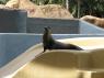 TN_Loro_Parque_42