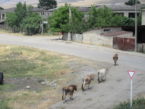 1_road_2_village_22