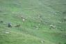 6_3_Kazbegi_48
