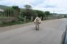 5_road_34