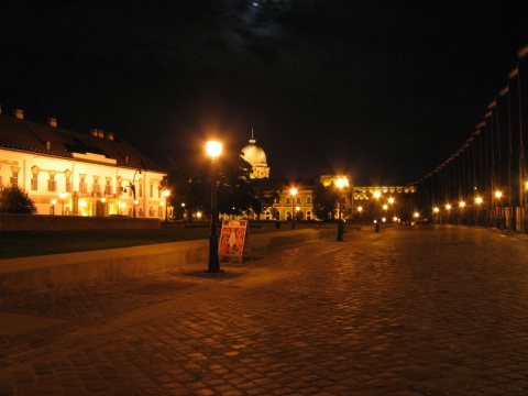 s_42Castle75night