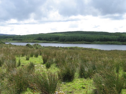 Connemara_013