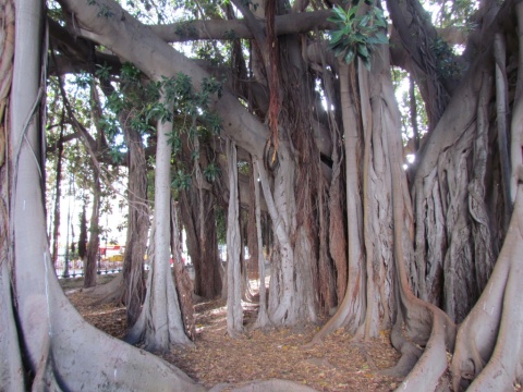 2_Palermo_69