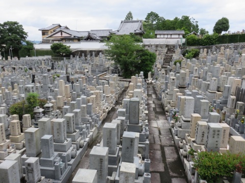 14_Nishi_Otani_x_13_b