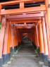 26_Fushimi_Inari_Taisha_88_b
