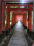 26_Fushimi_Inari_Taisha_97_b
