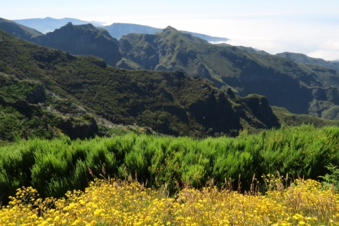 5_Pico_Ruivo_31