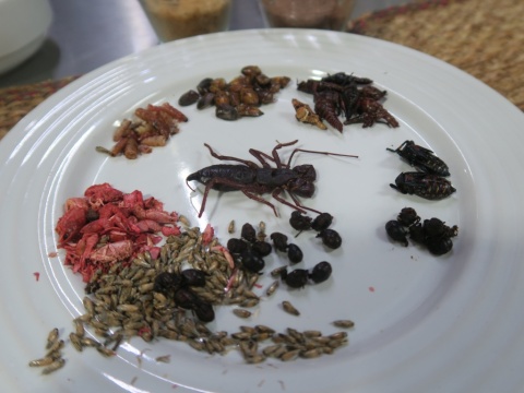 Mexico_52