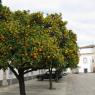 Algarve