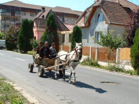 47Charette09