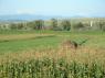 72TransylvaniaFromTrain144
