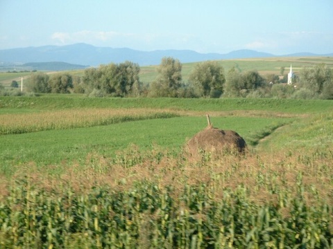 72TransylvaniaFromTrain144