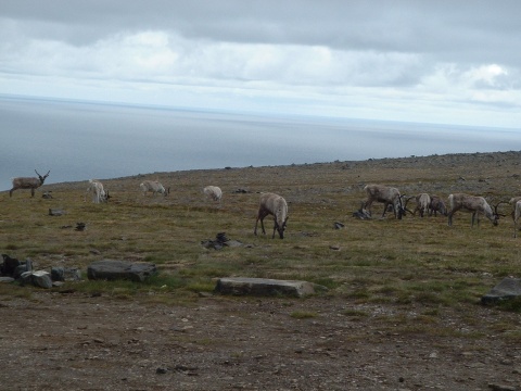 172Nordkapp