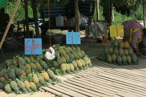 Ananas_22