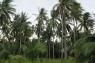 Koh_Lanta_122