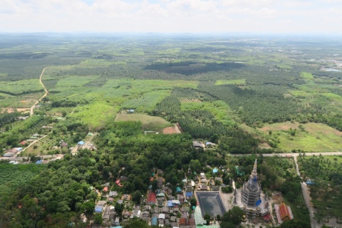 Krabi_530_Tiger_temple