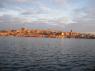 113GoldenHorn