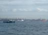 604Bosphorus