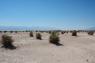 40_Desert_22