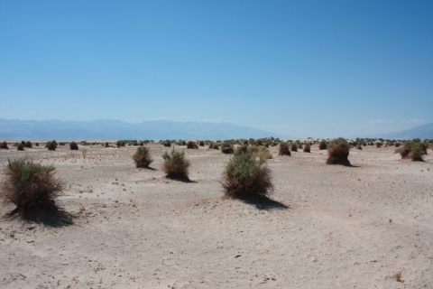 40_Desert_22