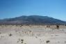 40_Desert_23