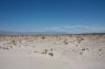 40_Desert_24