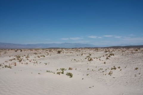 40_Desert_24