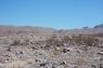 40_Desert_34