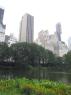 NYC_75_Manhattan_CentralPark_14