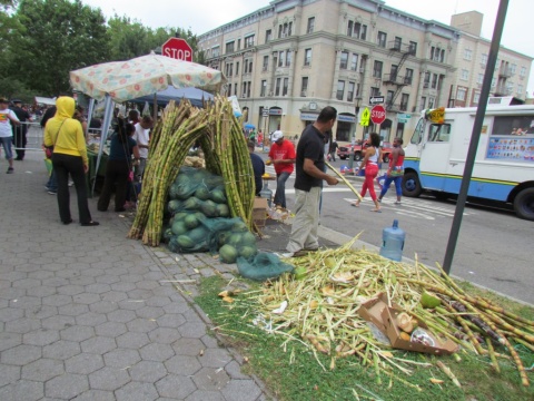 NYC_Brooklyn_caraibean_parade_14