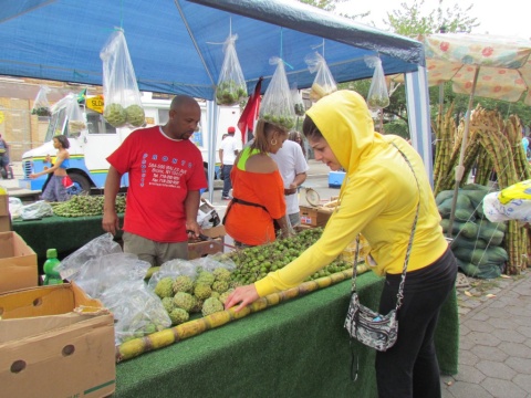 NYC_Brooklyn_caraibean_parade_16