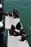 1_SantaCruz_SeaLions_19