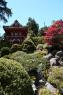 72_Golden_Gate_Park_38
