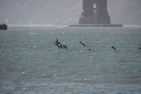 82_Presidio_6_3