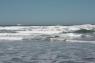 86_Pacific_Ocean_Beach_30