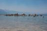 40_Mono_Lake_38