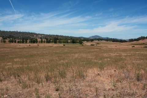 7_Meadows_12
