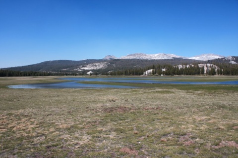 50_Yosemite_118