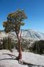 50_Yosemite_139