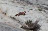 50_Yosemite_149