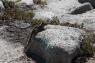 50_Yosemite_154