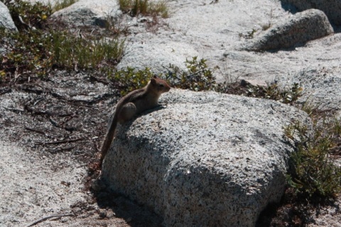 50_Yosemite_154