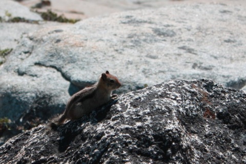 50_Yosemite_155