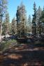 50_Yosemite_164