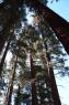 50_Yosemite_168