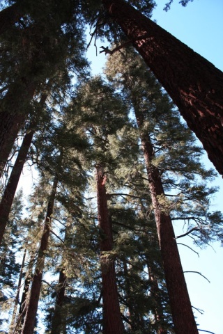 50_Yosemite_168