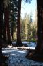 50_Yosemite_169